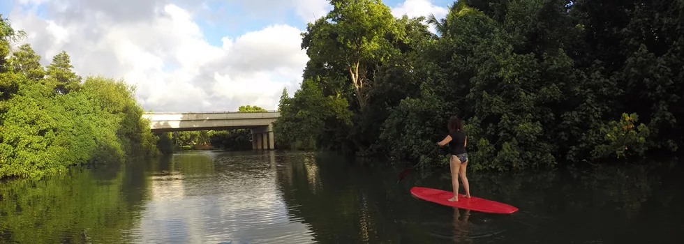 Stand up paddle board hawaii