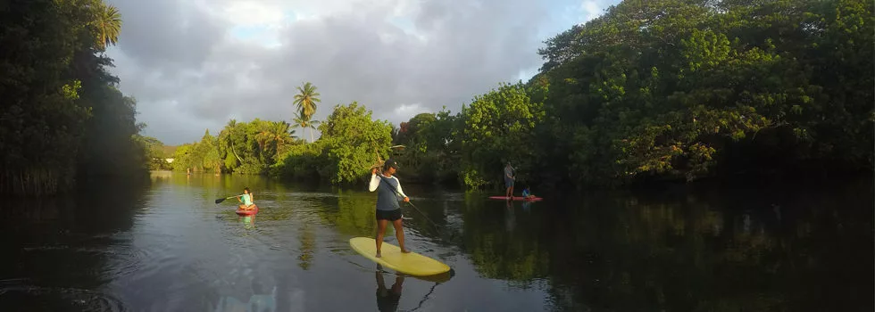 Oahu stand up paddle board