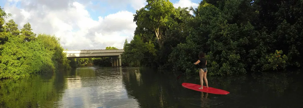 Stand Up Paddle Board Hawaii