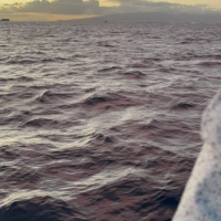 Photo of Sunset Glass Bottom Boat Ride