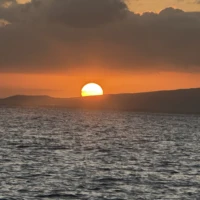 Photo of Waikiki Booze Cruise Catamaran