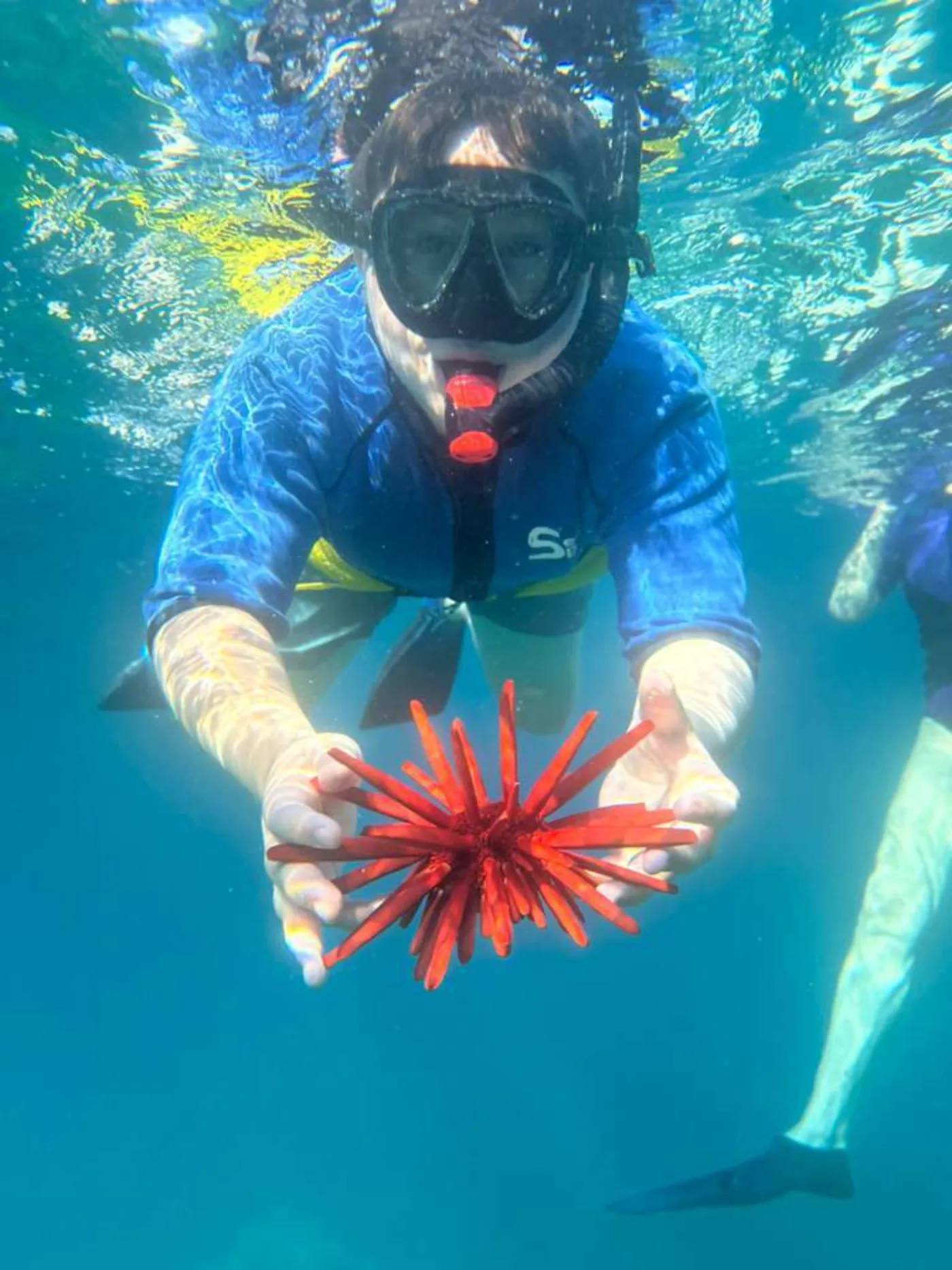 Photo of Non-Swimmer Snorkeling Lessons on Maui