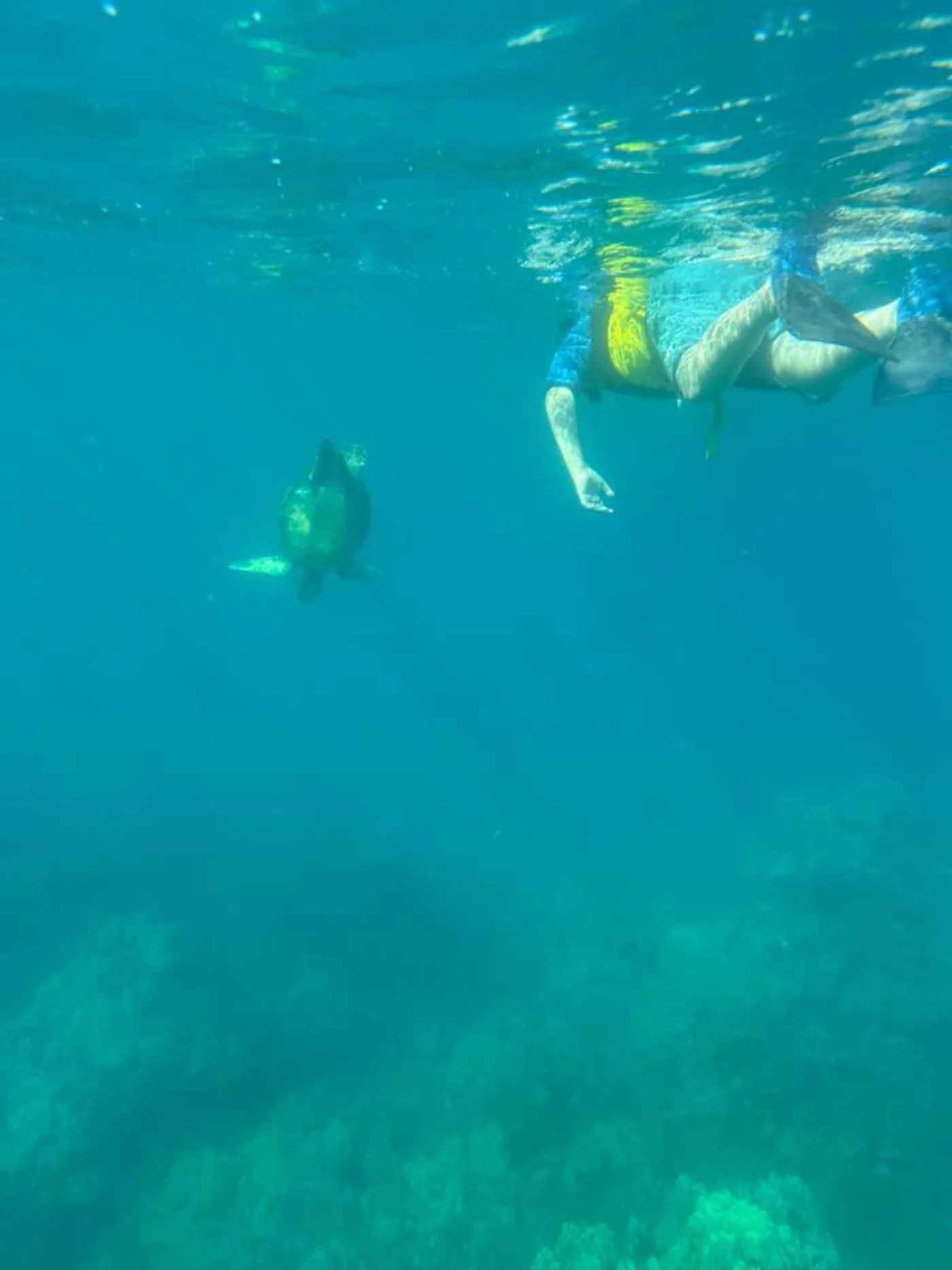 Photo of Non-Swimmer Snorkeling Lessons on Maui