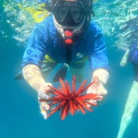 Photo of Non-Swimmer Snorkeling Lessons on Maui