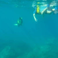 Photo of Non-Swimmer Snorkeling Lessons on Maui
