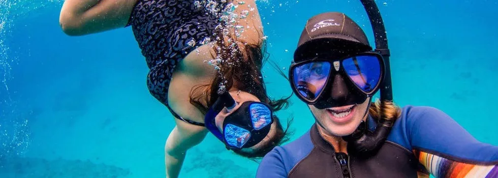 Romantic dolphin swim oahu