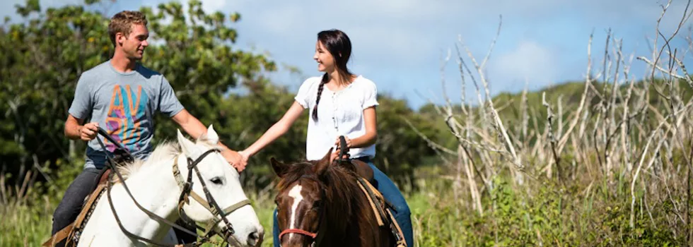 Romantic tour hawaii