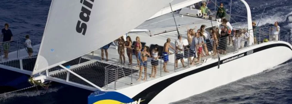 Catamaran Sail Waikiki