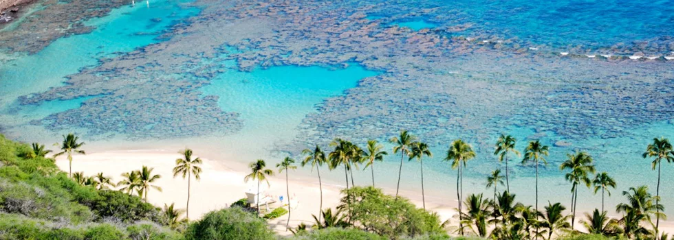 Hanauma Bay Snorkelfest
