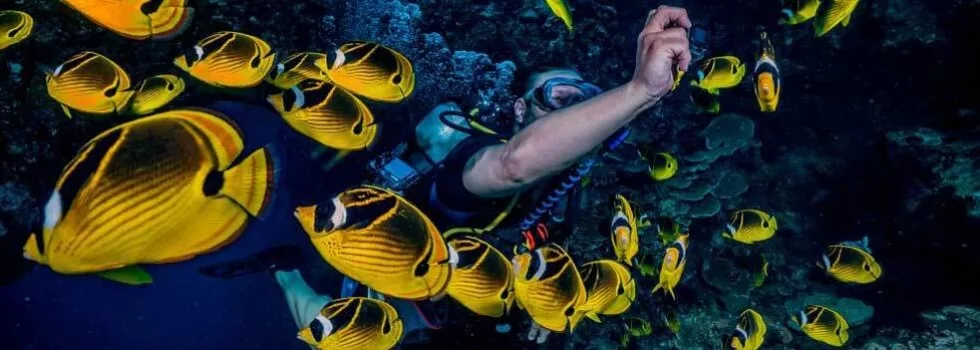 Lanai scuba diving tour