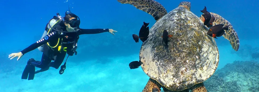 Best-scuba-dive-instructor-honolulu