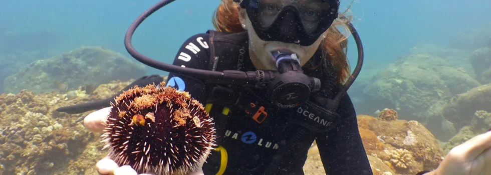 Learn-to-scuba-dive-on-oahu