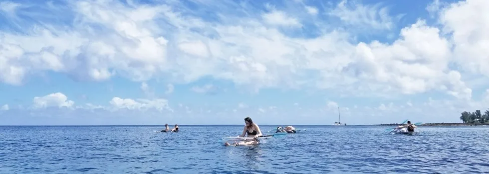 Glass kayak tour haleiwa