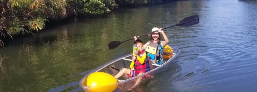 Clear kayak paddle anahulu river
