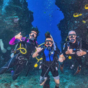 Shark and Turtle Dive for Certified Divers