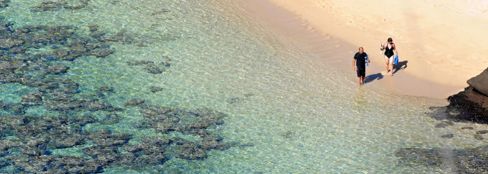 Hanauma bay snorkel tour