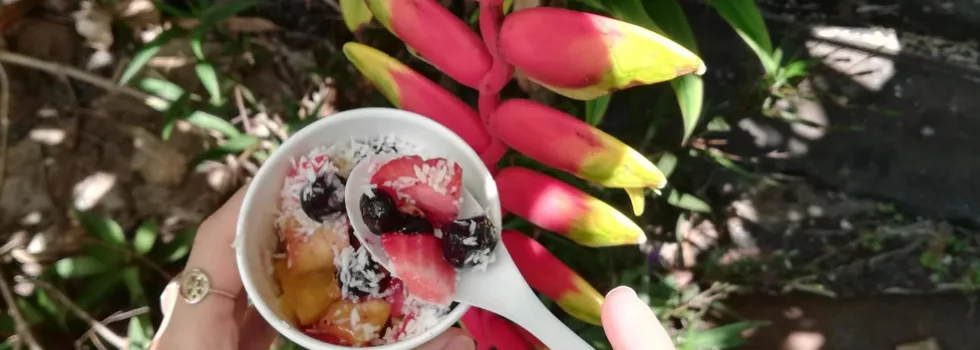 Best kauai acai bowls