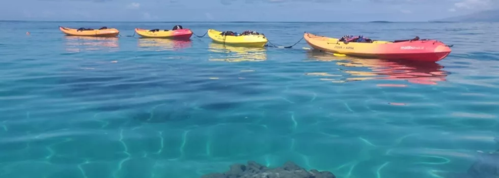 Anchored kayaks at makena maui