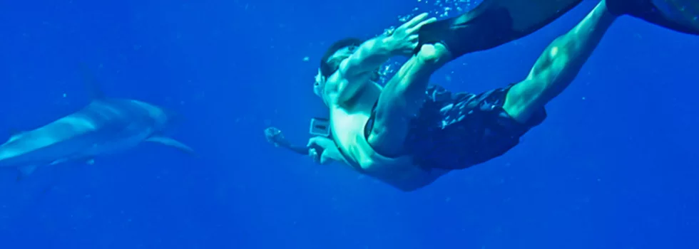 North shore shark swim