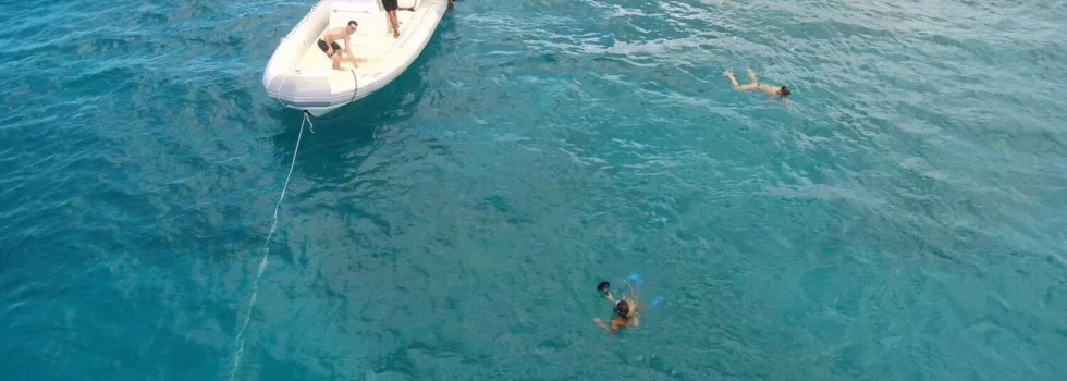 Private snorkel boat hawaii