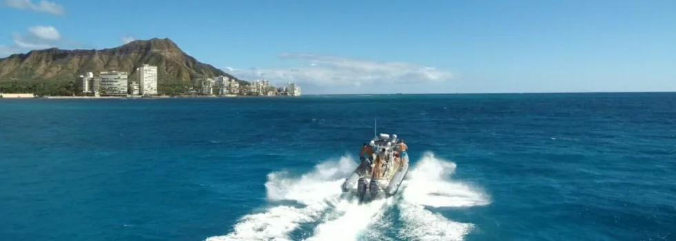Private boat waikiki whale watching