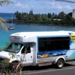 The Surf Bus driving along shore