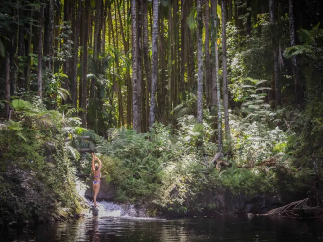 The Hidden Swimming Holes of Wailuku River