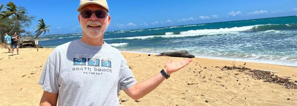Hawaiian monk seal oahu