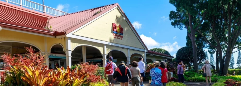 Dole plantation tour waikiki