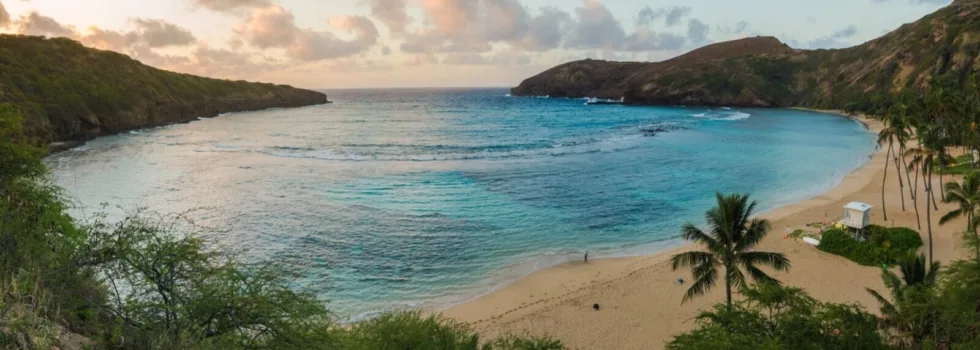 Hanauma bay lookout tour waikiki