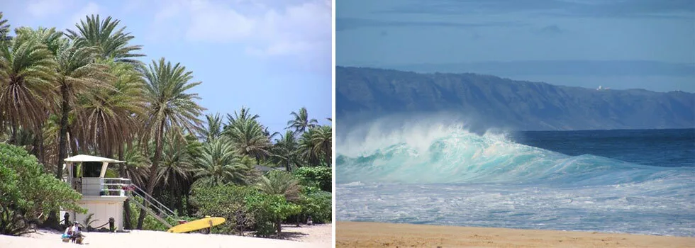 Tour pipeline beach oahu