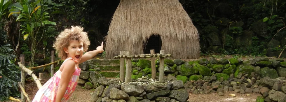 Waimea fall botanical garden tour