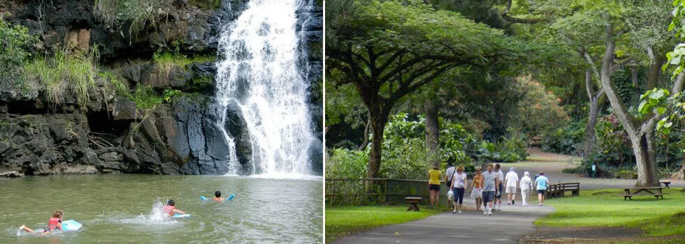 Waimea valley tour bus