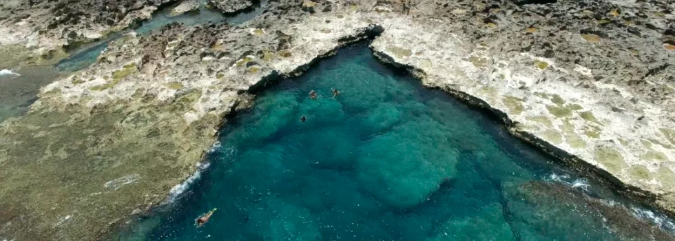 Sharks cove snorkeling