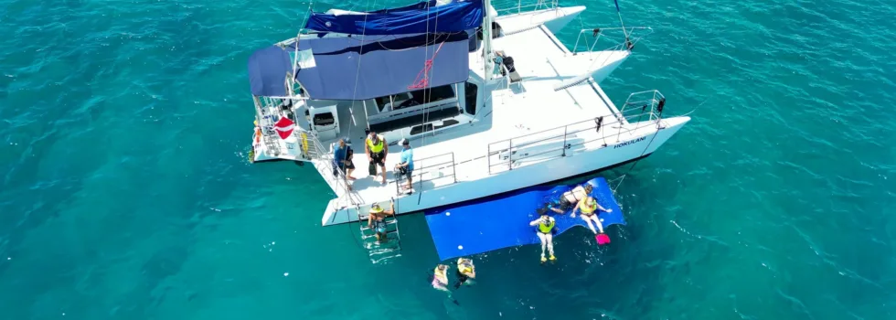 Waikiki trimaran snorkeling