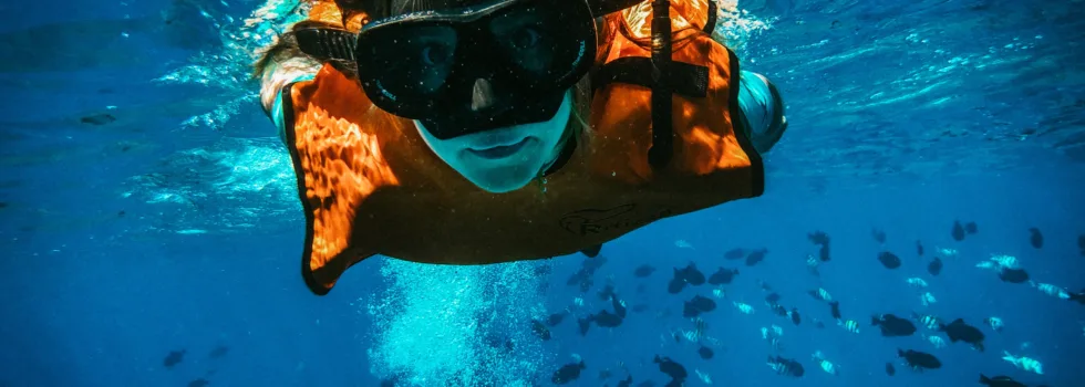 Boy snorkeling with school of trigger fish