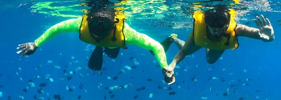 Hawaii snorkeling with yellow vests