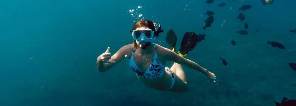 Woman swims with fish honolulu