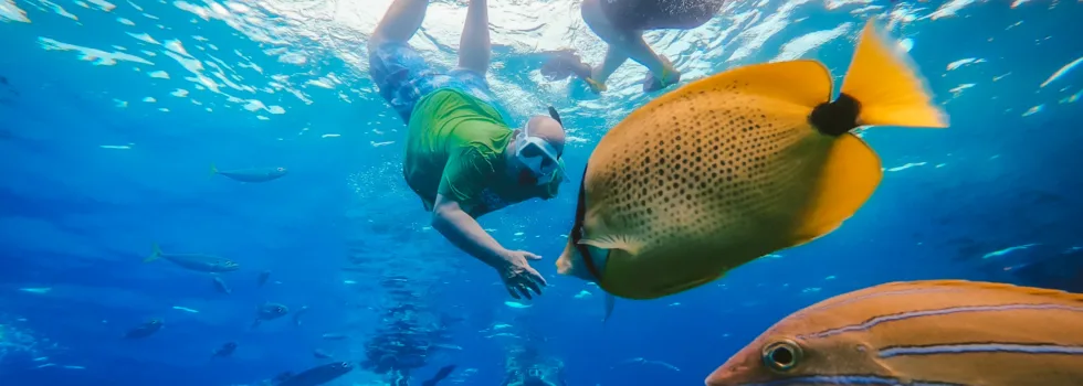 Snorkel with fish close up