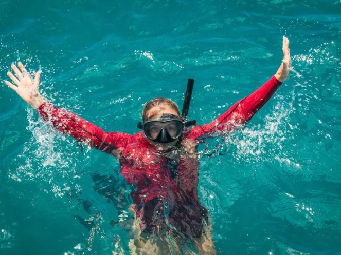 Turtle Canyon Catamaran Snorkel Tour: Real Review from a Waikiki Local