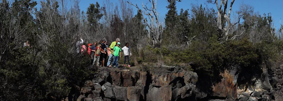 Best volcano tour guide