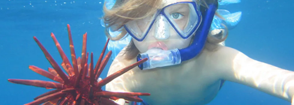 Snorkeling lessons for children kona