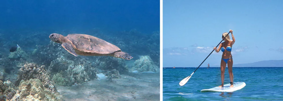 Snorkel-and-sup-maui