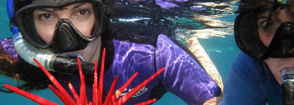 Snorkeling-lessons-wailea-maui