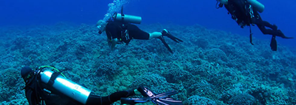 Best-scuba-school-maui