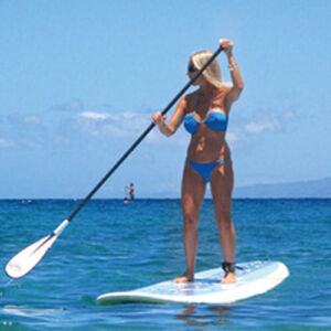 Wailea Stand Up Paddle Boarding Tour