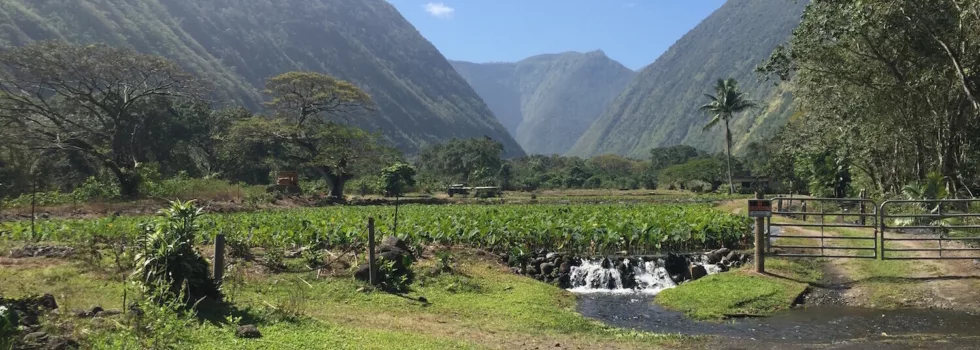 Waipio valley hiking guide